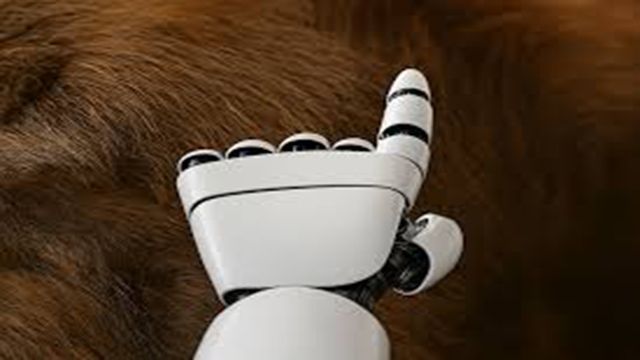 Amazon y su robot con sentido del tacto: el futuro ya llegó